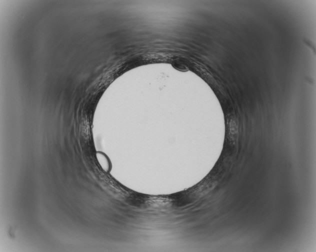 X0000102270617200808221439