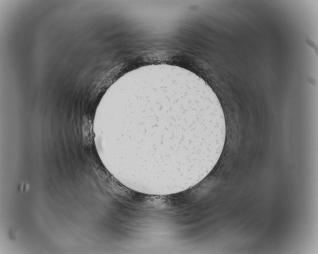 X0000102270624200808221439