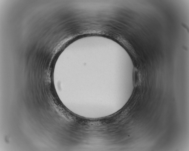 X0000102270628200808221438