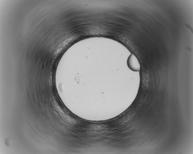 X0000102270629200808221438