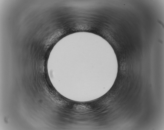 X0000102270635200808221438