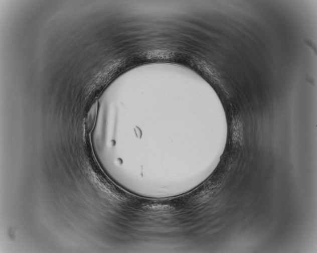 X0000102270637200808221438