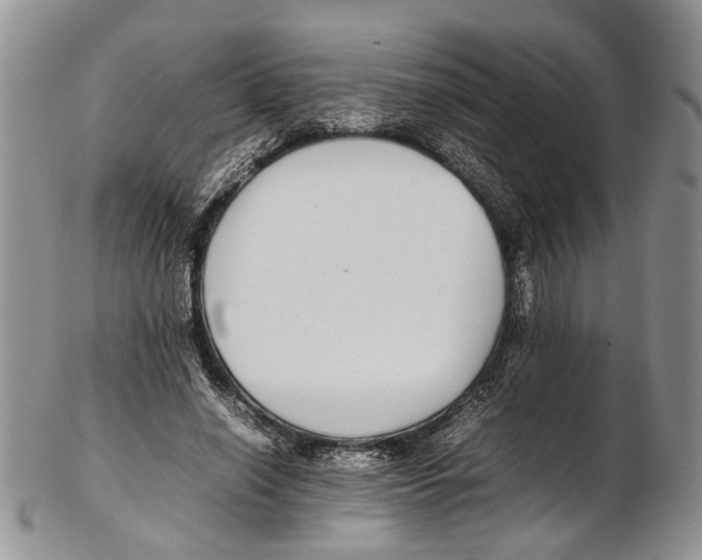 X0000102270638200808221438