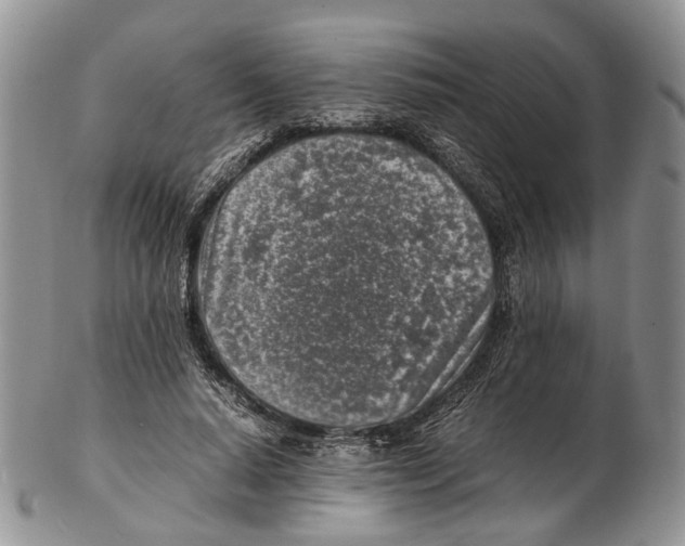 X0000102270640200808221438