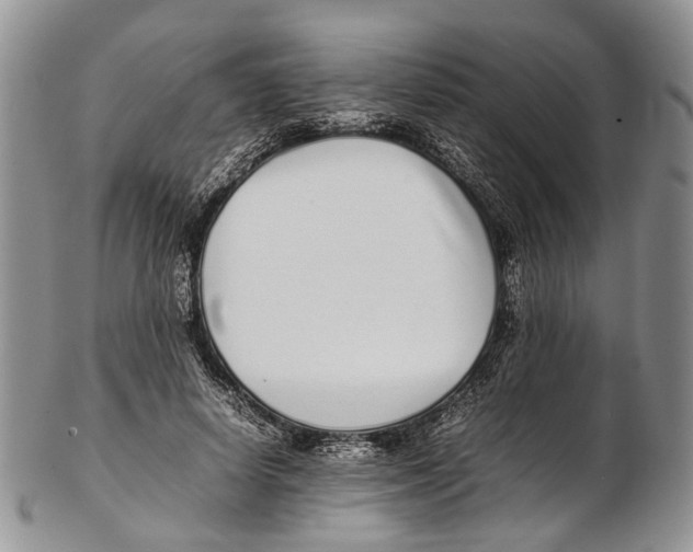 X0000102270642200808221438