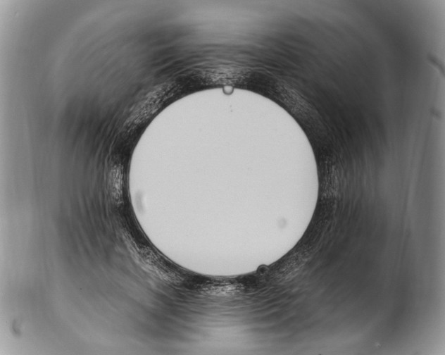 X0000102270646200808221439