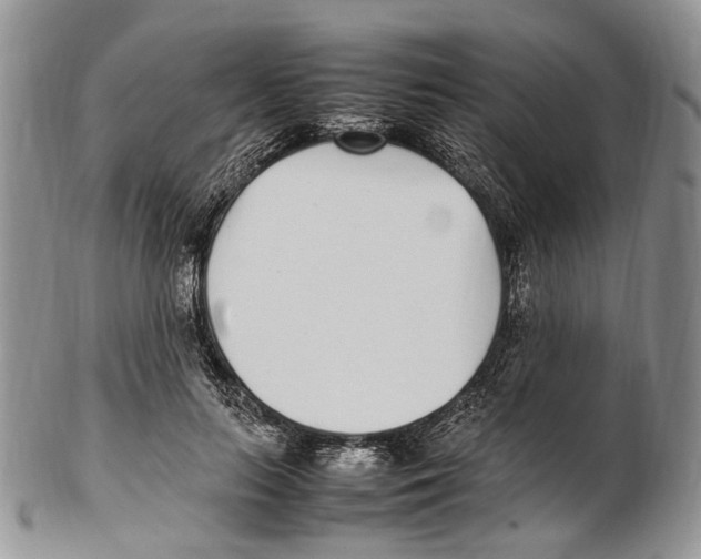 X0000102270647200808221439