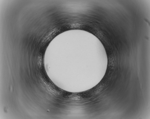 X0000102270648200808221439