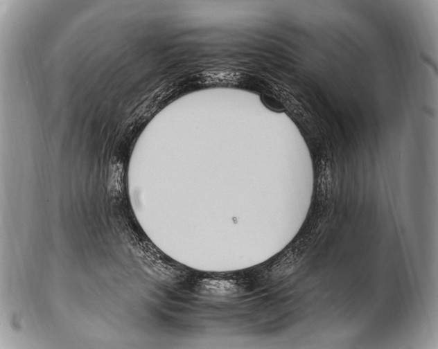 X0000102270649200808221439