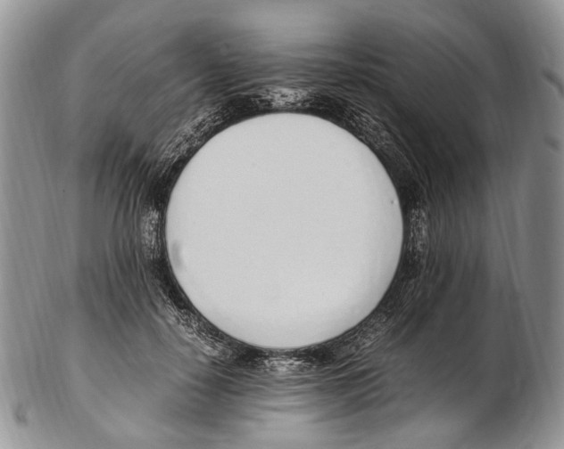X0000102270650200808221439