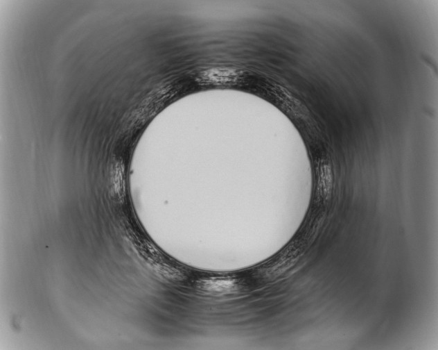 X0000102270651200808221439