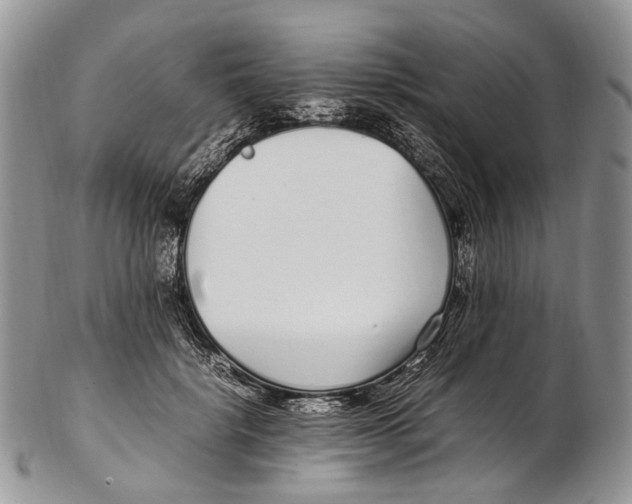 X0000102270652200808221439