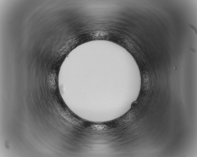 X0000102270654200808221439
