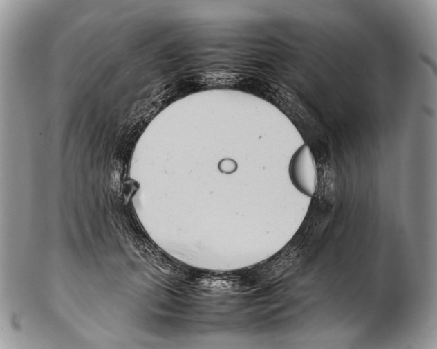 X0000102270655200808221439