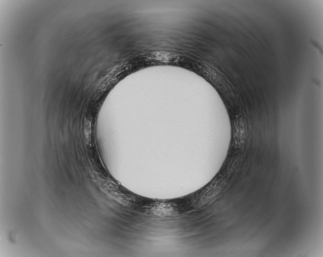 X0000102270656200808221439