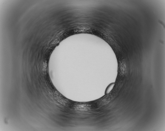 X0000102270657200808221439