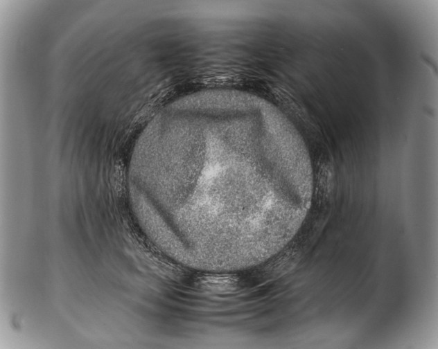 X0000102270659200808221439