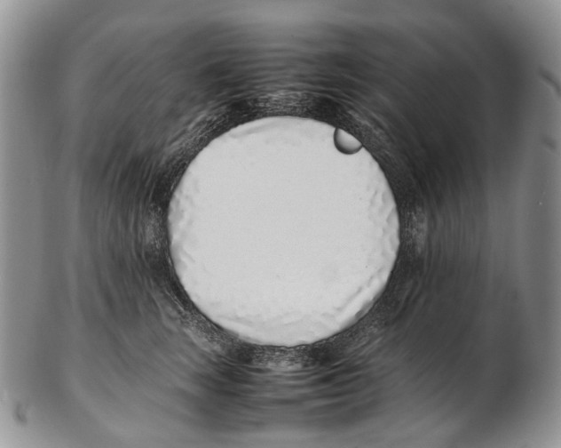 X0000102270663200808221439