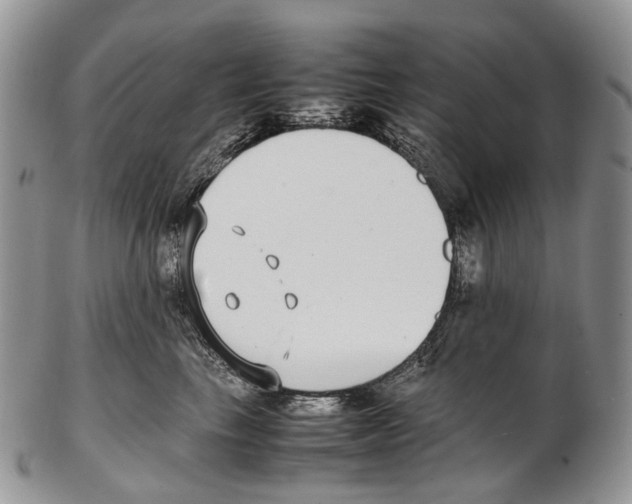 X0000102270665200808221439