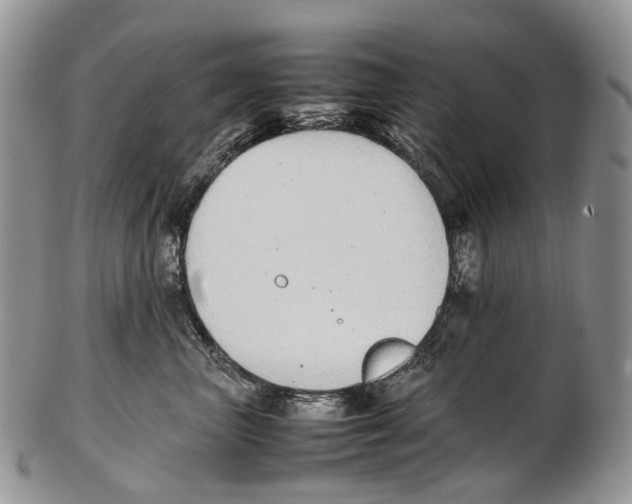 X0000102270667200808221439