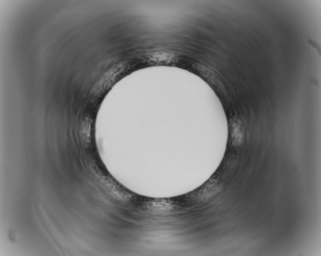X0000102270668200808221439