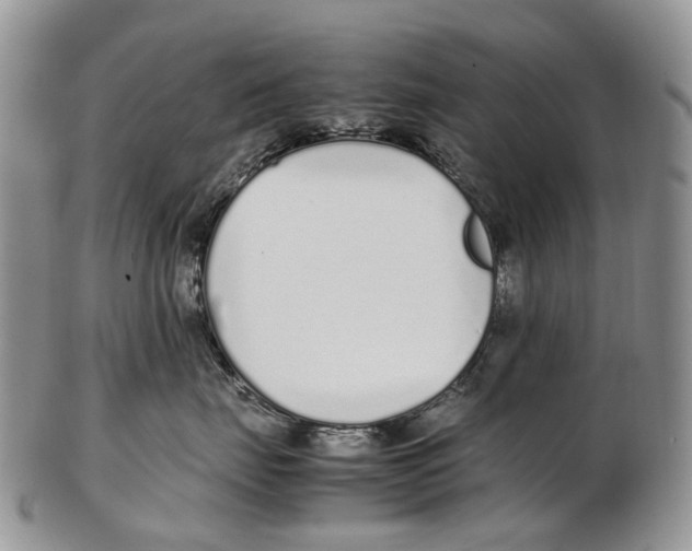 X0000102270671200808221439