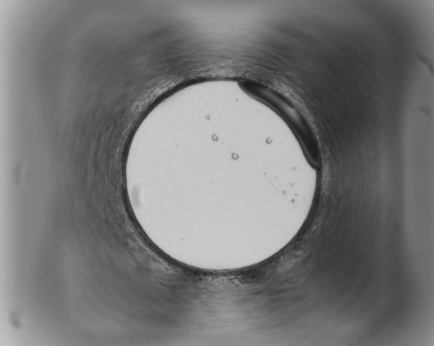 X0000102270673200808221438