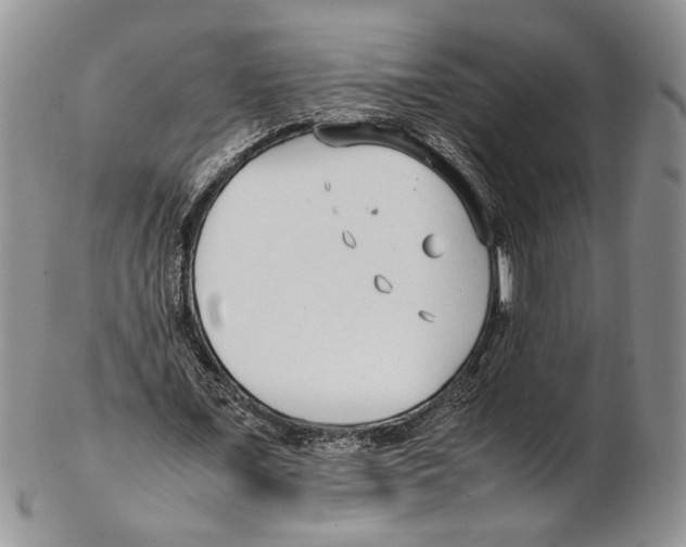 X0000102270675200808221438