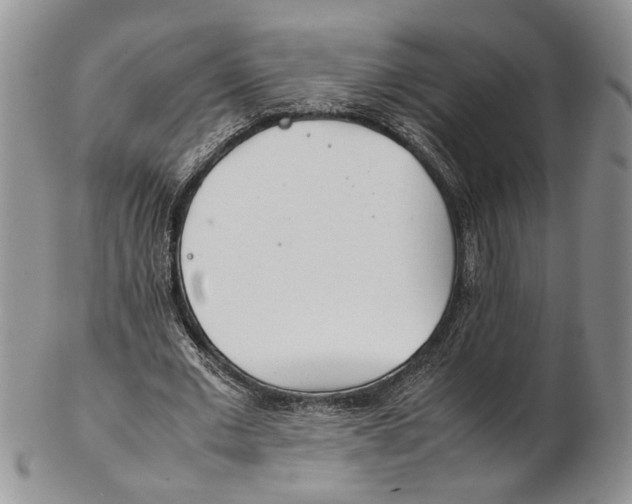 X0000102270677200808221438
