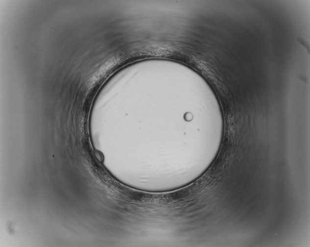 X0000102270679200808221438
