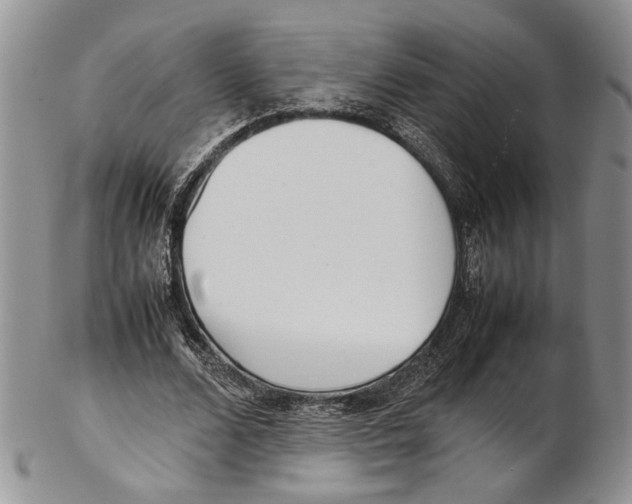 X0000102270680200808221438