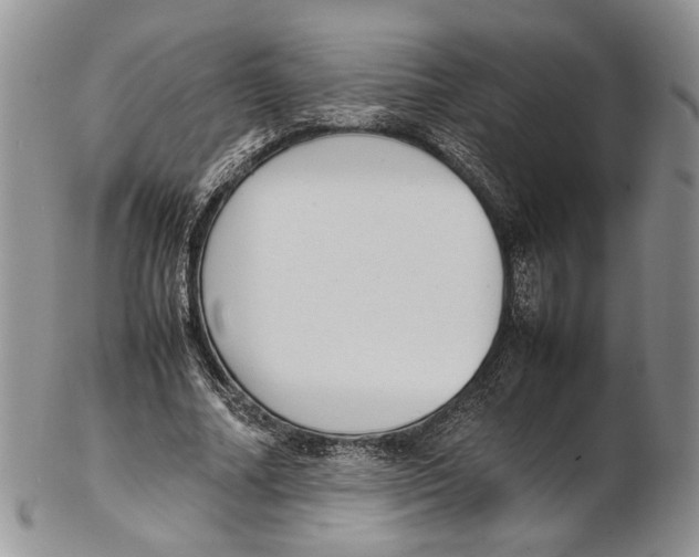 X0000102270682200808221438