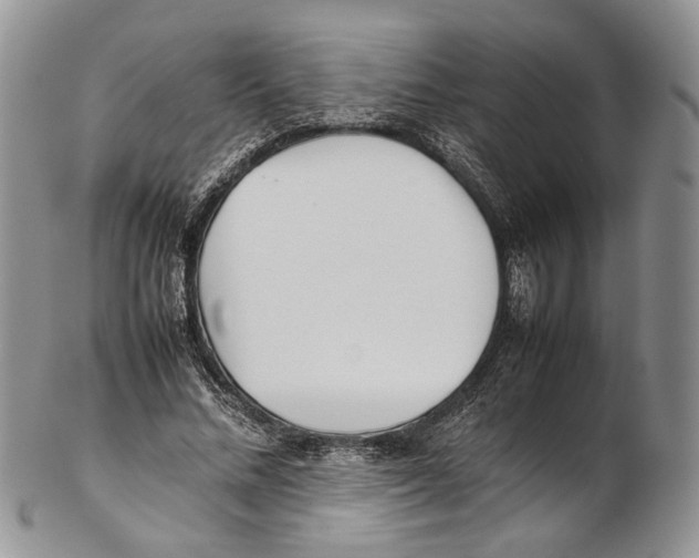 X0000102270684200808221438