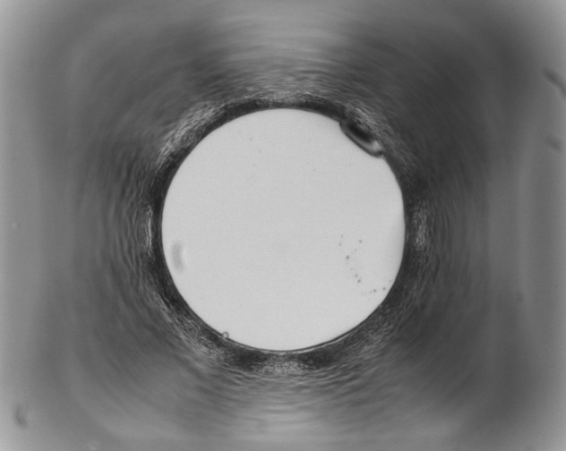 X0000102270685200808221438