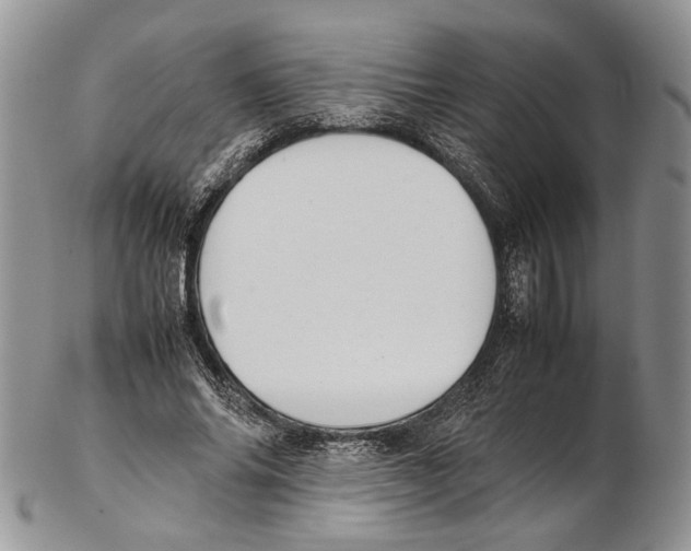 X0000102270686200808221438