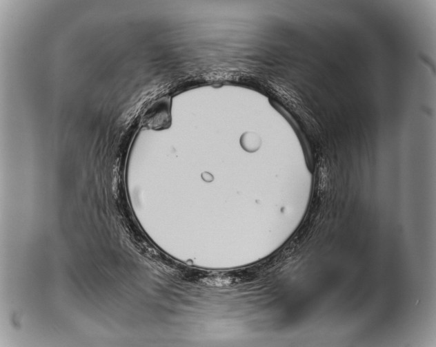 X0000102270687200808221438
