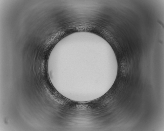 X0000102270690200808221438