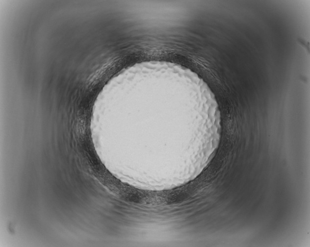 X0000102270691200808221438