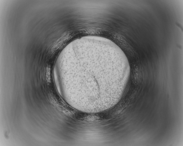 X0000102270696200808221438