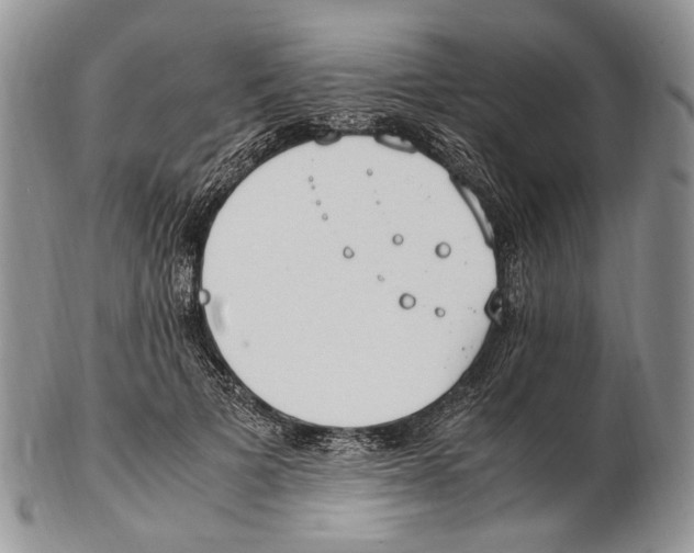 X0000102270697200808221438
