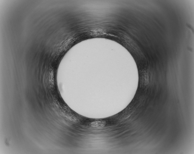 X0000102270700200808221438