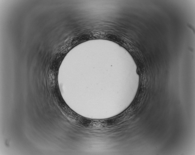 X0000102270703200808221438