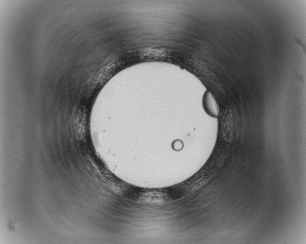 X0000102270708200808221438