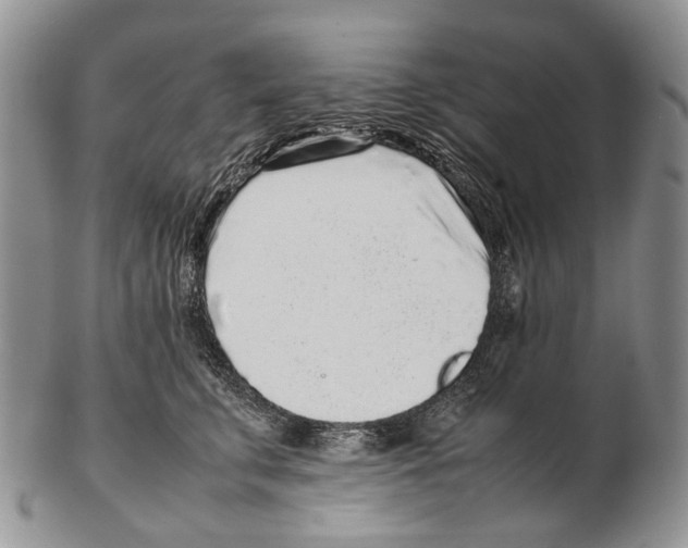 X0000102270711200808221438