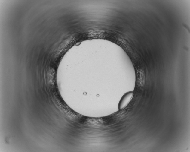 X0000102270712200808221438