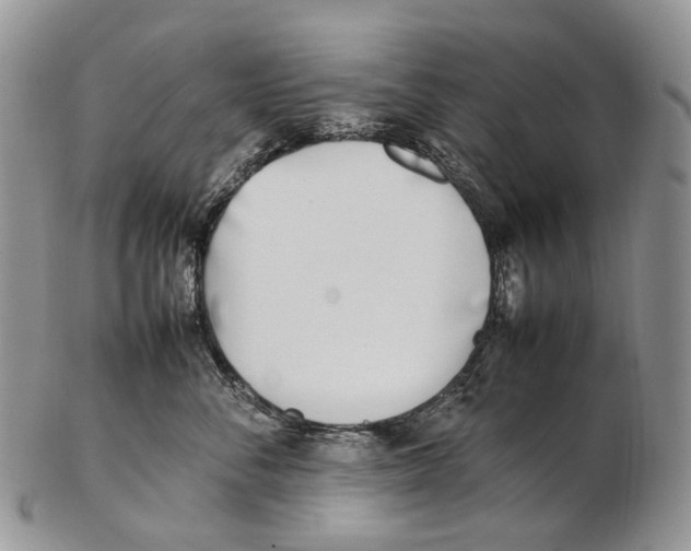 X0000102270716200808221438