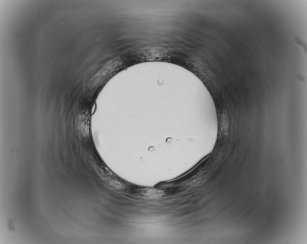 X0000102270719200808221438