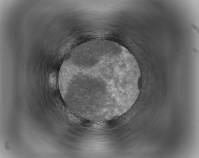 X0000102270720200808221438