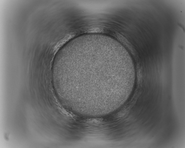 X0000102270721200808221437