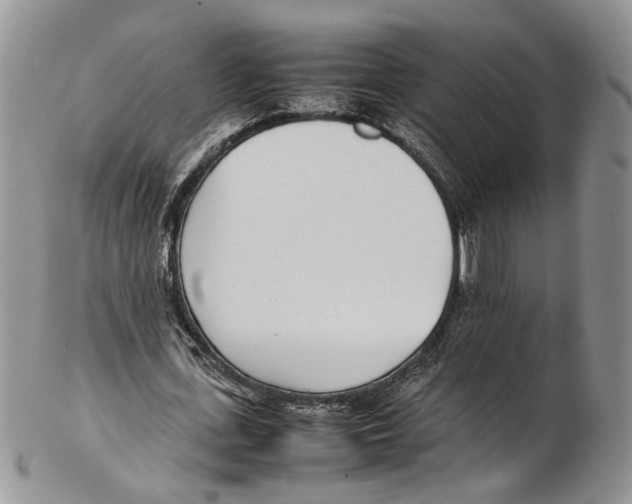 X0000102270723200808221437
